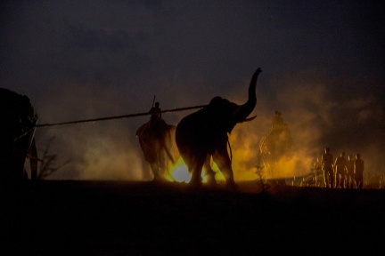 Capturing an elephant - Photo by Kalyan Varma