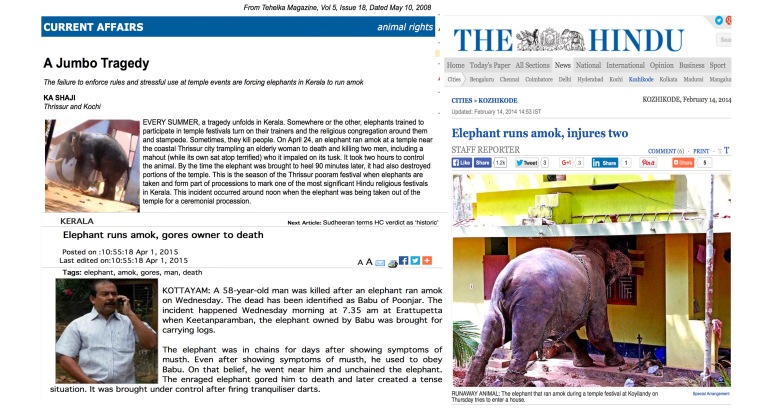 Newspaper reports on elephants running amok